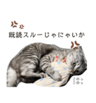 ちょっと上から目線 たむちゃんスタンプ（個別スタンプ：1）