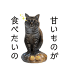 ちょっと上から目線 たむちゃんスタンプ（個別スタンプ：33）