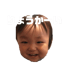 我が家のカンタ（個別スタンプ：4）