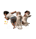 我が家のカンタ（個別スタンプ：12）
