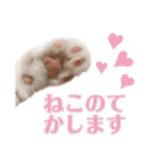 ちっちすたんぷ①（個別スタンプ：7）