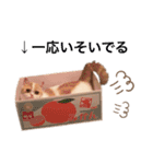 ちっちすたんぷ①（個別スタンプ：17）