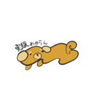 ワンチャン大学生犬（個別スタンプ：4）