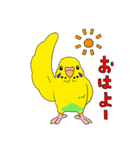 こむインコの日々（個別スタンプ：2）