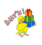 こむインコの日々（個別スタンプ：5）