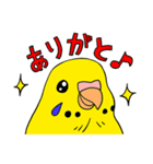 こむインコの日々（個別スタンプ：6）