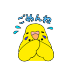 こむインコの日々（個別スタンプ：7）