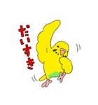 こむインコの日々（個別スタンプ：8）
