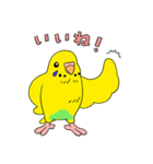 こむインコの日々（個別スタンプ：10）