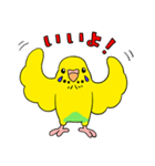 こむインコの日々（個別スタンプ：12）