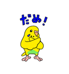 こむインコの日々（個別スタンプ：13）
