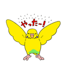 こむインコの日々（個別スタンプ：16）