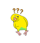 こむインコの日々（個別スタンプ：17）