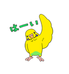 こむインコの日々（個別スタンプ：18）