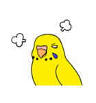 こむインコの日々（個別スタンプ：20）
