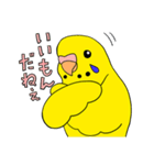 こむインコの日々（個別スタンプ：21）
