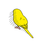 こむインコの日々（個別スタンプ：25）