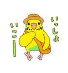 こむインコの日々（個別スタンプ：28）
