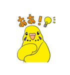 こむインコの日々（個別スタンプ：30）