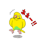 こむインコの日々（個別スタンプ：31）