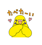 こむインコの日々（個別スタンプ：33）