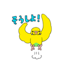 こむインコの日々（個別スタンプ：35）