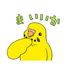 こむインコの日々（個別スタンプ：37）