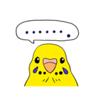 こむインコの日々（個別スタンプ：38）