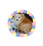 チュラちゃん（個別スタンプ：6）