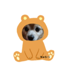 チュラちゃん（個別スタンプ：7）
