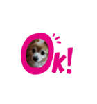 チュラちゃん（個別スタンプ：9）