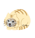 チュラちゃん（個別スタンプ：10）