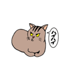 ふてまるの毎日使えるスタンプ。（個別スタンプ：31）
