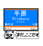 長野 しなの線 駅名 今まだこの駅です！（個別スタンプ：5）