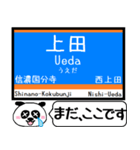 長野 しなの線 駅名 今まだこの駅です！（個別スタンプ：11）