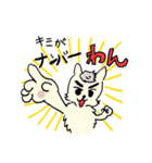 やの犬わんだふぉー（個別スタンプ：1）