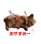 Y10.com（個別スタンプ：3）
