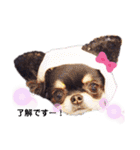 Y10.com（個別スタンプ：4）