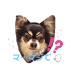Y10.com（個別スタンプ：5）