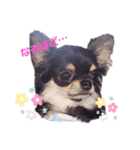 Y10.com（個別スタンプ：6）