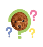 Y10.com（個別スタンプ：8）