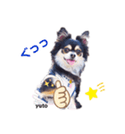 Y10.com（個別スタンプ：9）