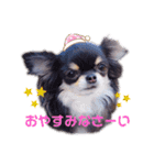 Y10.com（個別スタンプ：10）