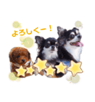 Y10.com（個別スタンプ：11）