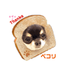 Y10.com（個別スタンプ：12）