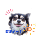 Y10.com（個別スタンプ：13）