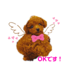 Y10.com（個別スタンプ：14）