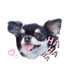 Y10.com（個別スタンプ：15）