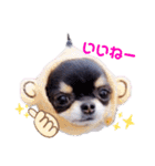 Y10.com（個別スタンプ：22）
