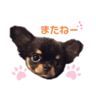 Y10.com（個別スタンプ：23）
